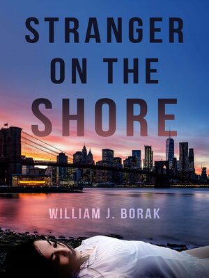 cover image of Stranger on the Shore
